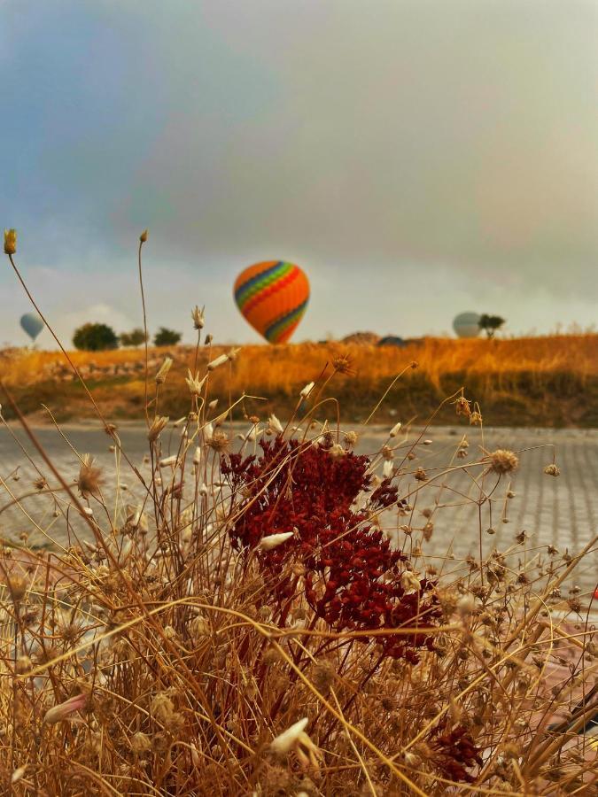 Soleado Cappadocia Hotel Üchisar Exteriér fotografie